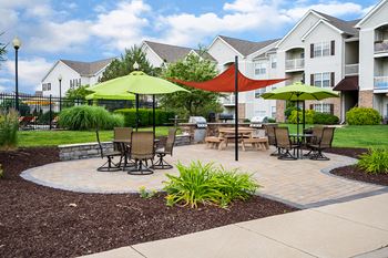 Grilling/picnic areas